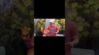 Monster Handler Tyson Scream Compilation 1