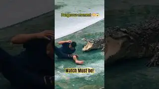 Exotic Pet Danger: The Crocodile Show You Can&rsquo;t Miss!