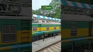 @littleklove this bgm🚂❤️#trending #music #band #tamil #dance #shots #shortsviral #violinfusion