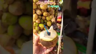 Odisha Famous coconut water in Bhubaneswar 🤯🔥#shorts #ytshorts #coconut #streetfood