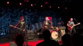 The Avengers - Teenage Rebel (Live)