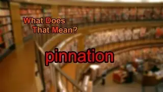 What does pinnation mean?