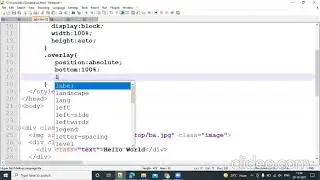 Image Slide Effect Using CSS And HTML | Image Slide