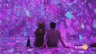 Experience a digital garden with 'Blooming Wonders' at ARTECHOUSE