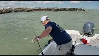 HUGE Spot & A Sheepshead - Back to the South Jetty