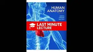 Nervous System: Sensory & Motor Tracts | Chapter 15 &ndash; Human Anatomy (8th)