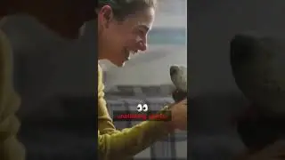 That soul-piercing dog stare? It's a chemical cocktail of pure love... or maybe they just spot a ...
