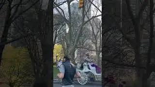 #music #abba #80smusic #flashback #travel #americatour #coversong#2025 #trending #shorts#walking#fyp