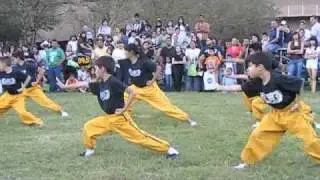Wushu Form HESTEC 2010