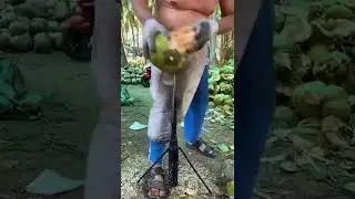how to remove coconut shell  best technique