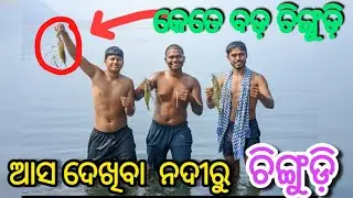 🦐ଆସ ଦେଖିବା ନଦୀରୁ ଚିଙ୍ଗୁଡ଼ି କେମିତି ଧରନ୍ତି😋#fishing#hook#fish #fishingvideo#odia#blog#how#viral#vlog 