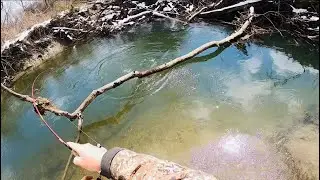 Fishing A Beautiful PA Stream For BIG WILD BROWN TROUT #fishing #trout #troutfishing