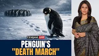 LIVE: Why is the Internet Obsessed With the 