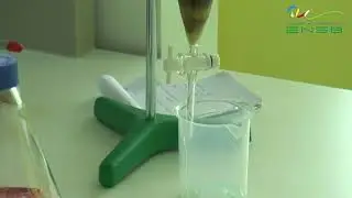 Atelier d&eacute;pollution d'un sol pollu&eacute; par un m&eacute;tal lourd / ENSB