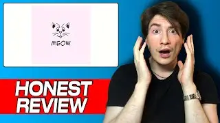 Meow Finance Review: Honest User Experience with Treasury Management & Yield Insights