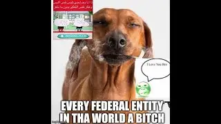 AWESOMEMAN PRESENTS: Every Federal Entity in Tha World A Bitch