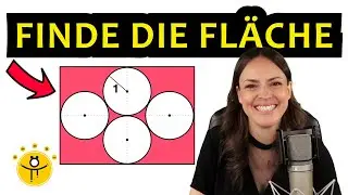 4 Kreise im Rechteck – Wie groß ist die Fläche?