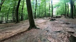 Deisterfreunde BMX Bahn #mtb #freeride #downhill #bigjumps #jumpline #enduro #save #greenhell
