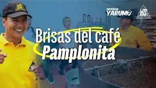 LAS AVENTURAS DEL PROFESOR YUARUMO: BRISAS DEL CAFE PAMPLONITA