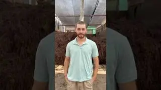 Feedback from Juan Antonio Roca Rey (farm CHIPOLA) from Lima, Per&uacute;.