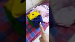building a tent ⛺ at home//Anu's fun