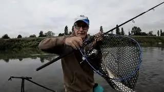Feeder: Big barbi in corrente..... #pesca #fiume #feeder #fishing #fish #pellet #stefanocazzulini 