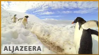 🇦🇶Weddell Sea: China, Russia block Antarctic ocean sanctuary plan