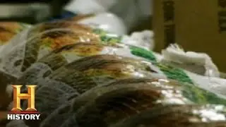 Thanksgiving: The Turkey Production Line | History