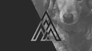 Tamas Skafar - Dear Molly (Original Mix)