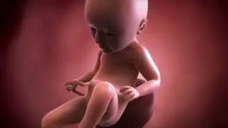 Your baby at 34 weeks | Week-by-week pregnancy | MadeForMums