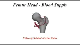 Femoral Head  - Blood Supply Video @ Subbu's Ortho Talks