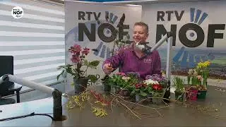 Sjoerd Feenstra geeft tuintips | Weekend Nieuwsshow