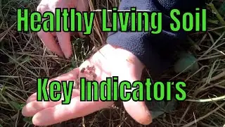 Key indicators to healthy living soil? Special guest Matt Havens USDA NRCS Soil Scientist