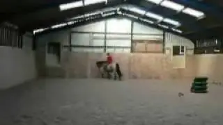 Natural Horse communication 2