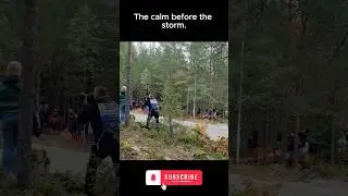 When the forest holds its breath&hellip; the rally begins.