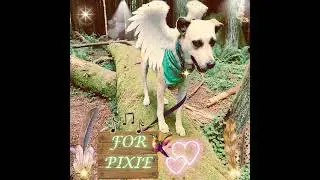 S1E27: My Forever Girl (for Pixie) | Bonus Track