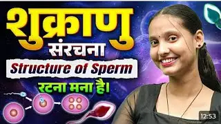  शुक्राणुजनन क्या है 😃Structure of Sperm |Class 12👍 Biology HumanReproduction |Nidhi Mam Biology🧑&zwj;⚕️