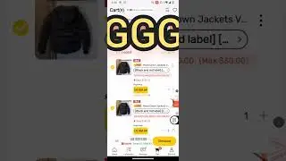 DHGATE VENDOR NEW ORDERS! (MONCLER, CANADA GOOSE, NORTH FACE) MONEY CONVERSATIONS!!