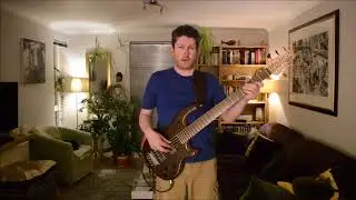Private Life - Grace Jones (bass cover)