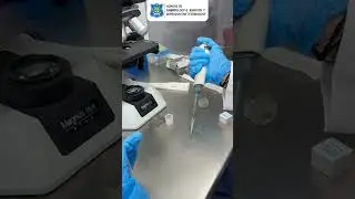 Embryology Techniques Complete Guide On IVF Lab Techniques | SEART | Embryology Training #seart