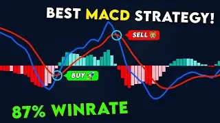 THE HIGHEST WINRATE MACD TRADING STRATEGY [87% Win Rate]