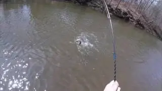 Skippack Creek Trout Fishing 2017