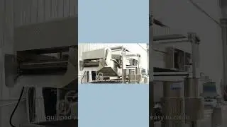 Continuous Food Snacks Fryer Machine Chips Frying Machine