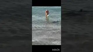 🇪🇸Spain, Calpe City. Shark surprises the family at the beach. August 2025.