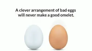 10 Inspirational Egg Quotes | Ep. 667