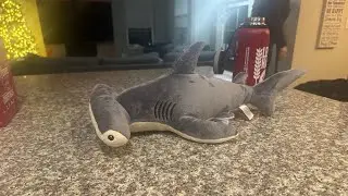 Eco Nation hammerhead shark 🦈 toy review 