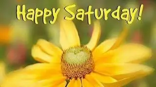 Good morning saturday wishes   !! Best good morning photos  !! Good morning