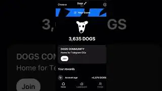 Dogs - новый проект от проверенных людей (Notcoin, Blum) !