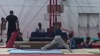 Sunny Mayo - Pommel - Pegasus Open - June 2018