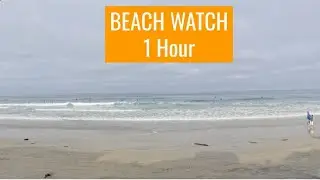 ☀️ Sunny California Beach Surf Watch with Rolling Waves and Ocean Sounds